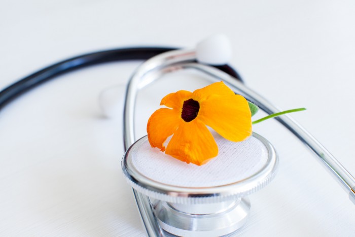 聴診器と花