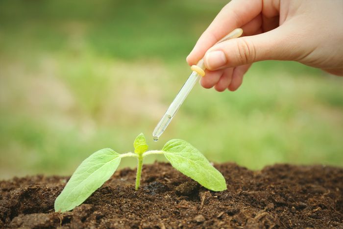 植物用の液体肥料