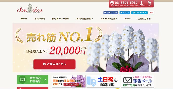 胡蝶蘭の通販サイト　アロンアロン