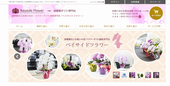 胡蝶蘭の通販サイト　ベイサイドフラワー