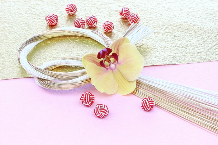 お正月飾り用の胡蝶蘭