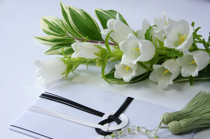お悔やみの花に胡蝶蘭が選ばれる理由と贈るときに気をつけるポイント アロンアロン