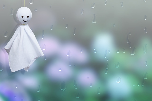梅雨 育て方 胡蝶蘭