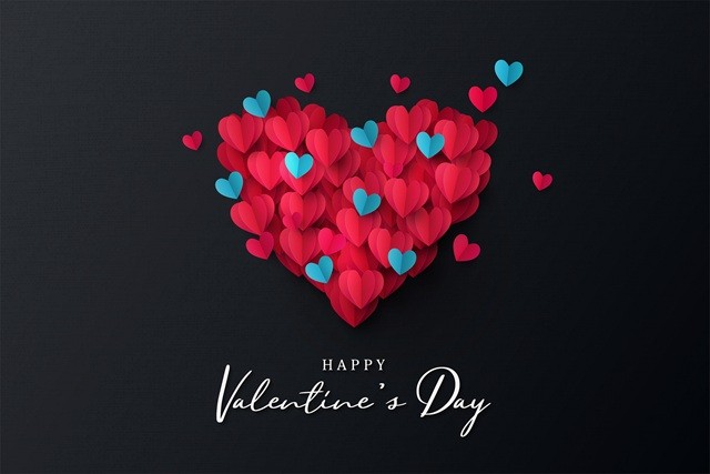 フラワーバレンタインの胡蝶蘭