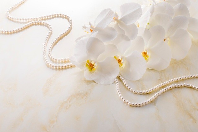 胡蝶蘭のアクセサリー　イメージ