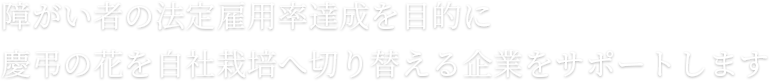 障がい者の法定雇用率達成を目的に慶弔の花を自社栽培へ切り替える企業をサポートします