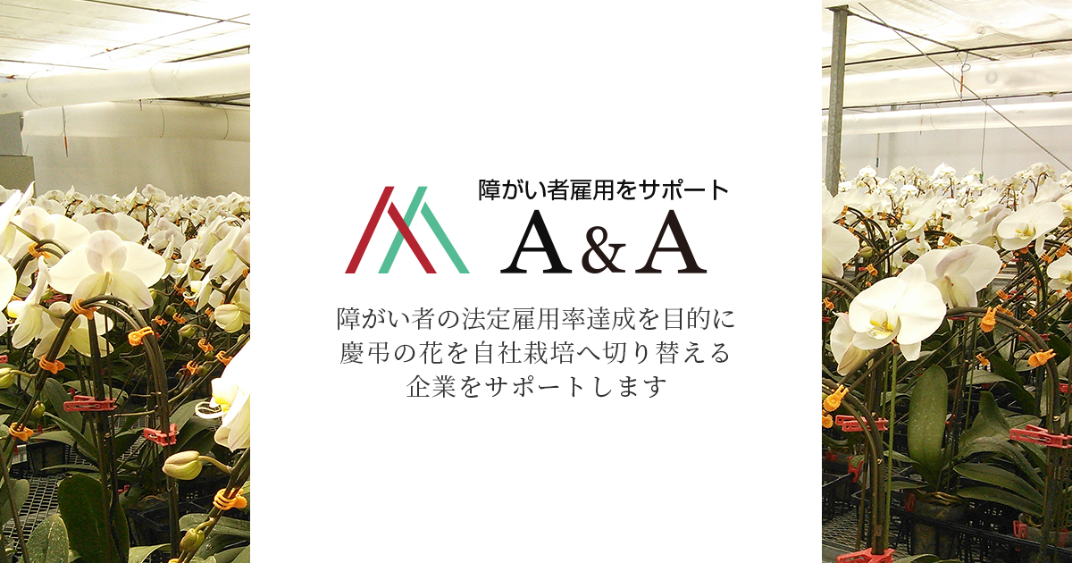 A A株式会社 障がい者の雇用を目的に慶弔の花 胡蝶蘭 を自社栽培へ切り替える企業をサポート A A株式会社 障がい者の雇用を目的に慶弔の花 胡蝶蘭 を自社栽培へ切り替える企業をサポート