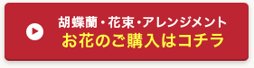 胡蝶蘭・花束・アレンジメント お花のご購入はコチラ