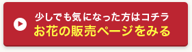 少しでも気になった方はコチラ お花の販売ページをみる