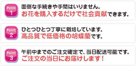 個人でお花を買うメリット