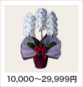 10,000～30,000円