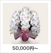 50,000円～