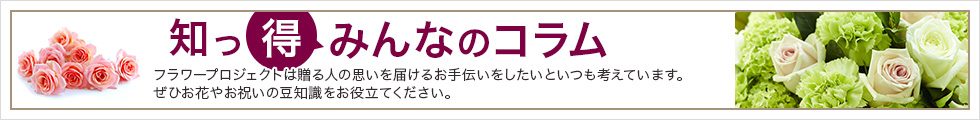 知っ得！みんなのコラム