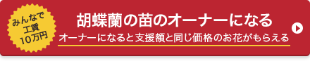 胡蝶蘭の苗のオーナーになる